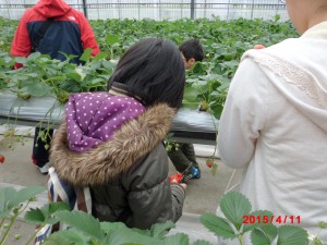 CIMG0747