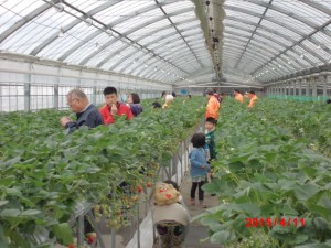 CIMG0750
